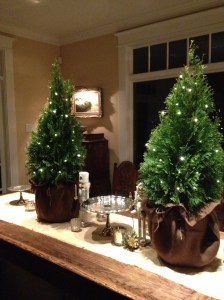 Getting ready for the party.