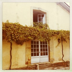 An interior courtyard.