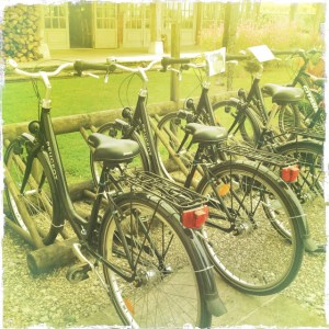 We didn't start out on bikes, but we sure did end up on them...!