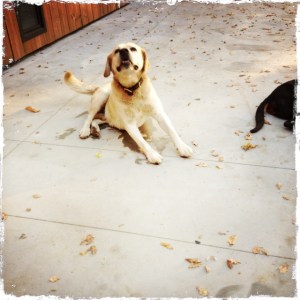 And Corkscrew.  Perfect.