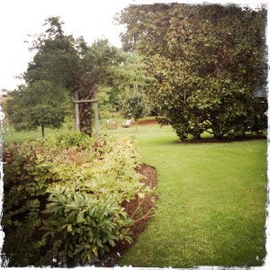 The beautiful gardens.