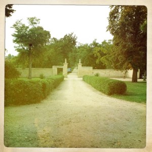 The driveway at Ch. Figeac.