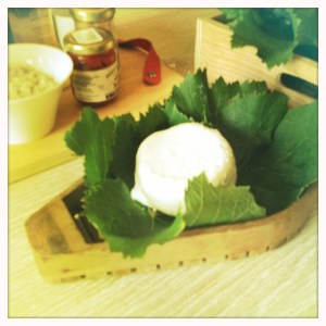 Delicious farm-fresh goat cheese.