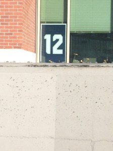 Jan. 2014 and Seahawks 020